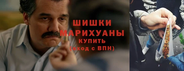 трава Иннополис