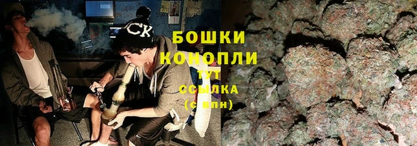 трава Иннополис